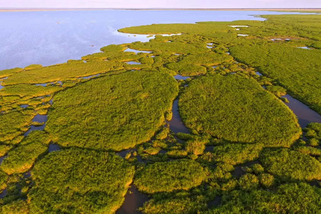 Mozambique - Gorongosa National Park - safari - landscape and lake